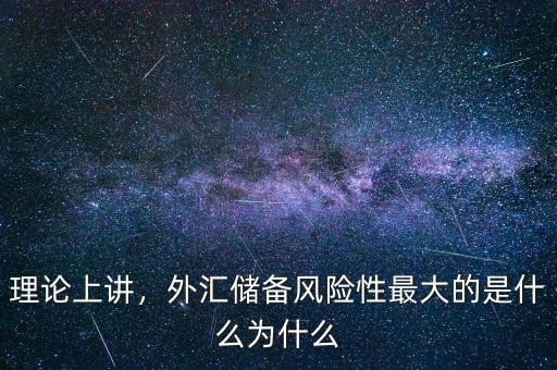 理論上講，外匯儲備風(fēng)險性最大的是什么為什么