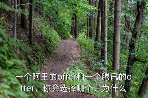 一個阿里的offer和一個騰訊的offer，你會選擇哪個，為什么