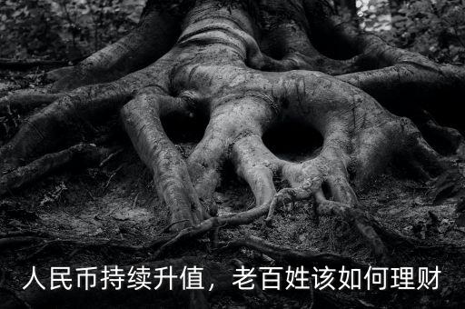 人民幣持續(xù)升值，老百姓該如何理財