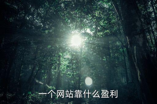 sony靠什么盈利,那索尼公司是靠什么盈利的