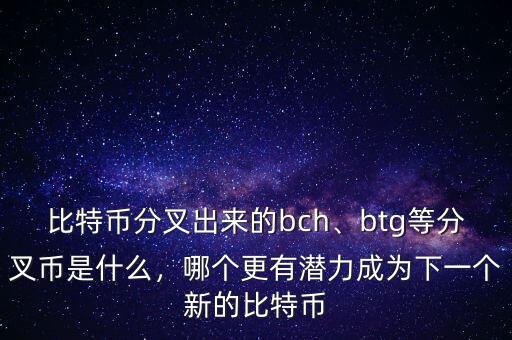 比特幣分叉出來的bch、btg等分叉幣是什么，哪個更有潛力成為下一個新的比特幣
