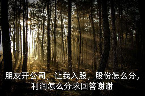 朋友開公司，讓我入股，股份怎么分，利潤(rùn)怎么分求回答謝謝