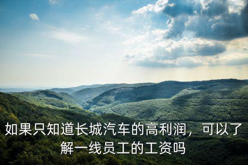 如果只知道長(zhǎng)城汽車的高利潤(rùn)，可以了解一線員工的工資嗎