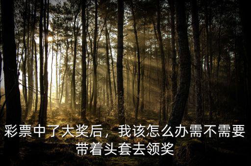彩票中了大獎(jiǎng)后，我該怎么辦需不需要帶著頭套去領(lǐng)獎(jiǎng)