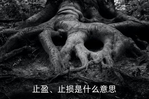 止盈、止損是什么意思