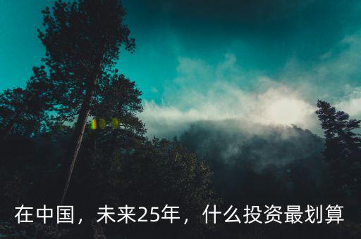 在中國，未來25年，什么投資最劃算