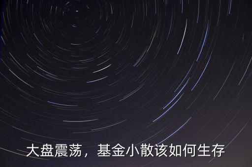大盤震蕩，基金小散該如何生存