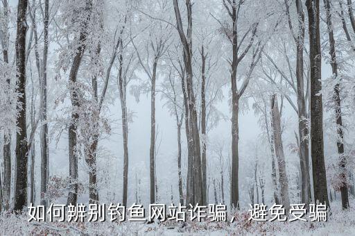 如何辨別釣魚網(wǎng)站詐騙，避免受騙