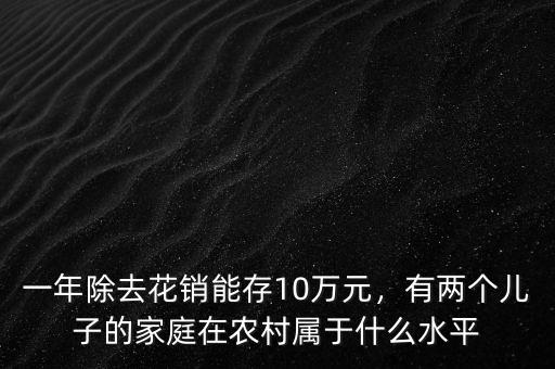 一年除去花銷能存10萬(wàn)元，有兩個(gè)兒子的家庭在農(nóng)村屬于什么水平