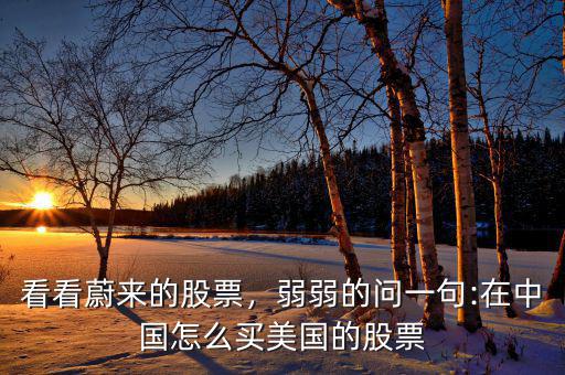 看看蔚來的股票，弱弱的問一句:在中國怎么買美國的股票