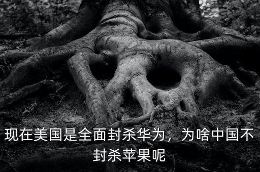 現(xiàn)在美國(guó)是全面封殺華為，為啥中國(guó)不封殺蘋果呢
