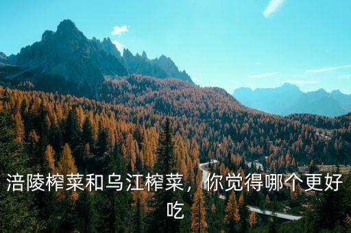 涪陵榨菜和烏江榨菜，你覺得哪個更好吃