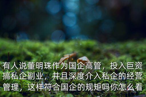 有人說董明珠作為國(guó)企高管，投入巨資搞私企副業(yè)，并且深度介入私企的經(jīng)營(yíng)管理，這樣符合國(guó)企的規(guī)矩嗎你怎么看