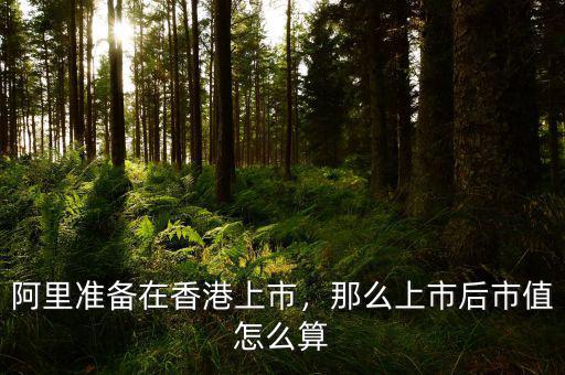 阿里準(zhǔn)備在香港上市，那么上市后市值怎么算