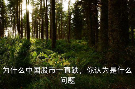 為什么中國股市一直跌，你認為是什么問題