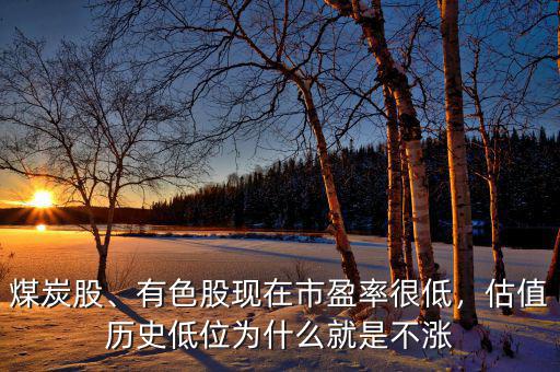 煤炭股、有色股現(xiàn)在市盈率很低，估值歷史低位為什么就是不漲