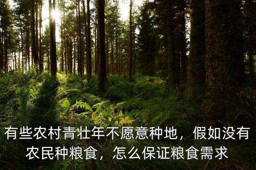 有些農(nóng)村青壯年不愿意種地，假如沒有農(nóng)民種糧食，怎么保證糧食需求