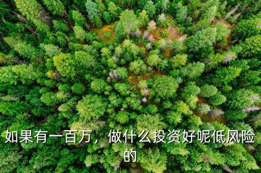 如果有一百萬，做什么投資好呢低風(fēng)險(xiǎn)的