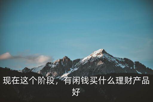 現(xiàn)在這個(gè)階段，有閑錢買什么理財(cái)產(chǎn)品好