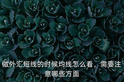 做外匯短線的時候均線怎么看，需要注意哪些方面