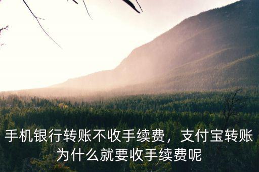 手機銀行轉(zhuǎn)賬不收手續(xù)費，支付寶轉(zhuǎn)賬為什么就要收手續(xù)費呢