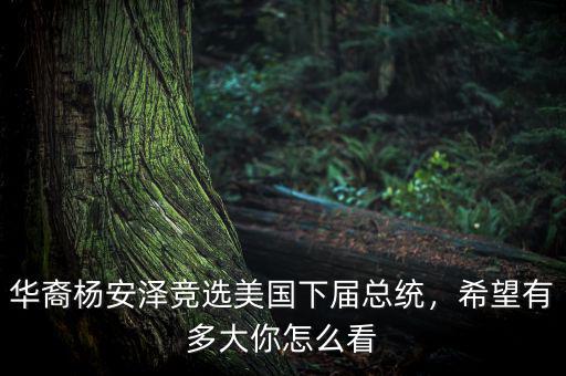 華裔楊安澤競(jìng)選美國(guó)下屆總統(tǒng)，希望有多大你怎么看