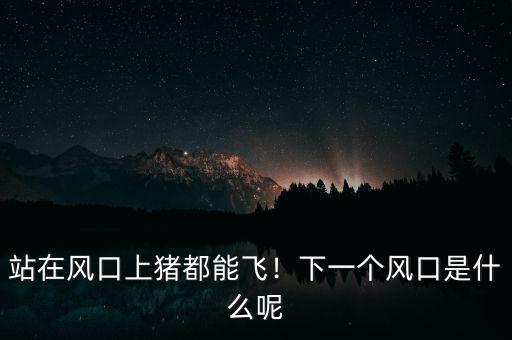 站在風(fēng)口上豬都能飛！下一個(gè)風(fēng)口是什么呢