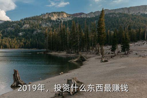 2019年，投資什么東西最賺錢