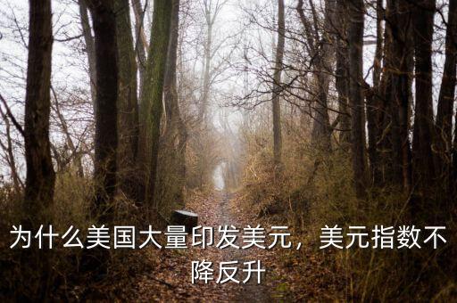 為什么美國大量印發(fā)美元，美元指數(shù)不降反升