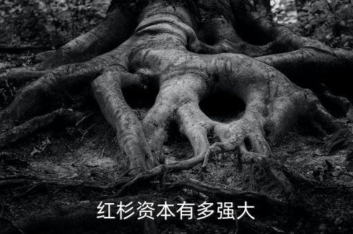 紅杉資本有多少資產(chǎn),如何評價(jià)紅杉資本沈南鵬