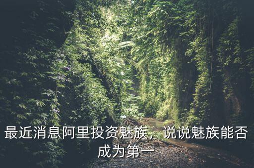 最近消息阿里投資魅族，說說魅族能否成為第一