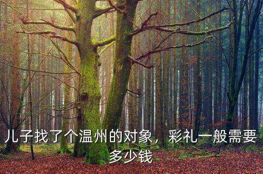 兒子找了個溫州的對象，彩禮一般需要多少錢