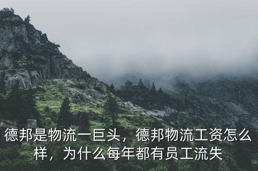 德邦為什么上市失敗,為什么好多網友都說德邦不好