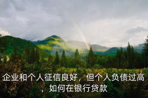 企業(yè)和個人征信良好，但個人負債過高，如何在銀行貸款