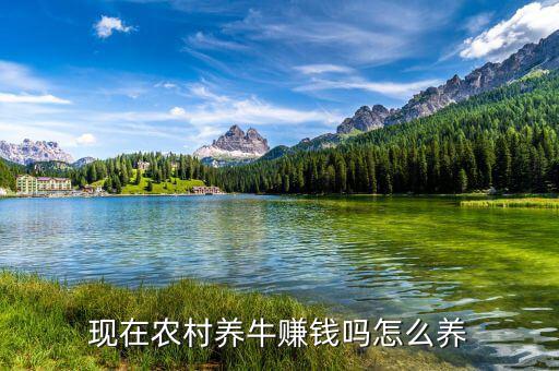 現(xiàn)在農村養(yǎng)牛賺錢嗎怎么養(yǎng)