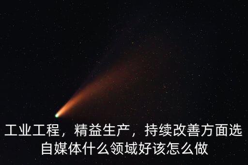 工業(yè)工程，精益生產(chǎn)，持續(xù)改善方面選自媒體什么領(lǐng)域好該怎么做