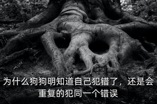 為什么狗狗明知道自己犯錯了，還是會重復的犯同一個錯誤