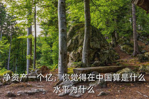 凈資產(chǎn)一個(gè)億，你覺得在中國(guó)算是什么水平為什么