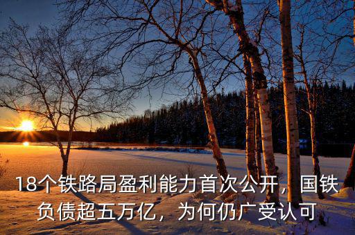 18個(gè)鐵路局盈利能力首次公開，國(guó)鐵負(fù)債超五萬(wàn)億，為何仍廣受認(rèn)可