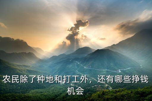 農(nóng)民除了種地和打工外，還有哪些掙錢機(jī)會