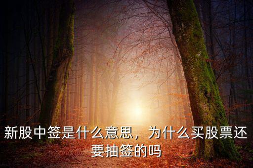 新股中簽是什么意思，為什么買股票還要抽簽的嗎