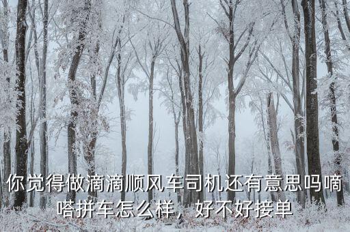 你覺得做滴滴順風(fēng)車司機還有意思嗎嘀嗒拼車怎么樣，好不好接單