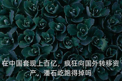 在中國套現(xiàn)上百億，瘋狂向國外轉移資產，潘石屹跑得掉嗎