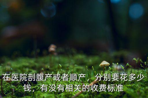 在醫(yī)院剖腹產(chǎn)或者順產(chǎn)，分別要花多少錢，有沒有相關(guān)的收費(fèi)標(biāo)準(zhǔn)