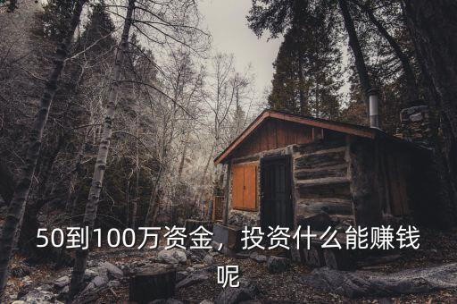 50到100萬(wàn)資金，投資什么能賺錢呢
