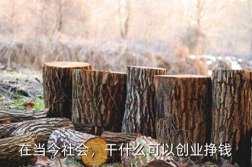 在當(dāng)今社會，干什么可以創(chuàng)業(yè)掙錢