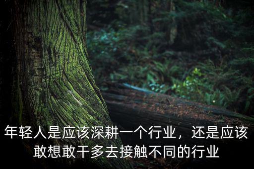 年輕人是應(yīng)該深耕一個(gè)行業(yè)，還是應(yīng)該敢想敢干多去接觸不同的行業(yè)