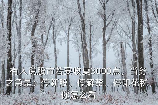 有人說股市若要收復(fù)3000點，當(dāng)務(wù)之急是：停新股、停解禁、停印花稅，你怎么看