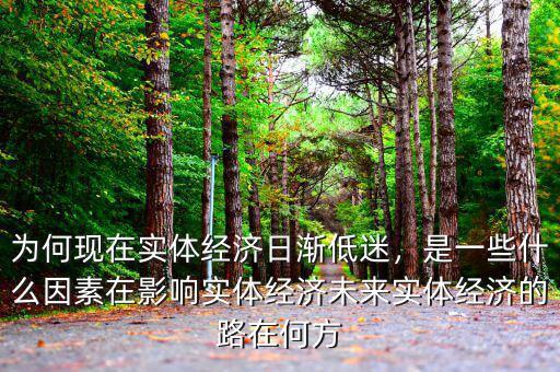 為何現(xiàn)在實體經(jīng)濟(jì)日漸低迷，是一些什么因素在影響實體經(jīng)濟(jì)未來實體經(jīng)濟(jì)的路在何方