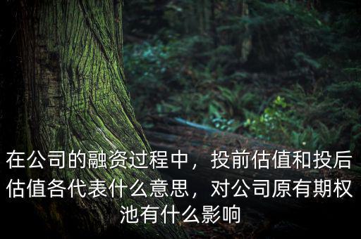 在公司的融資過(guò)程中，投前估值和投后估值各代表什么意思，對(duì)公司原有期權(quán)池有什么影響